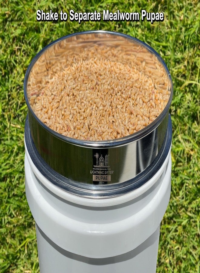 Mealworm Farming Solutions MFS' D-11 Lightning Sifter Mealworm Pupae Sifting Pan (2nd Gen) - Image 4